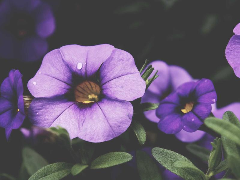 feedback screenshot 6