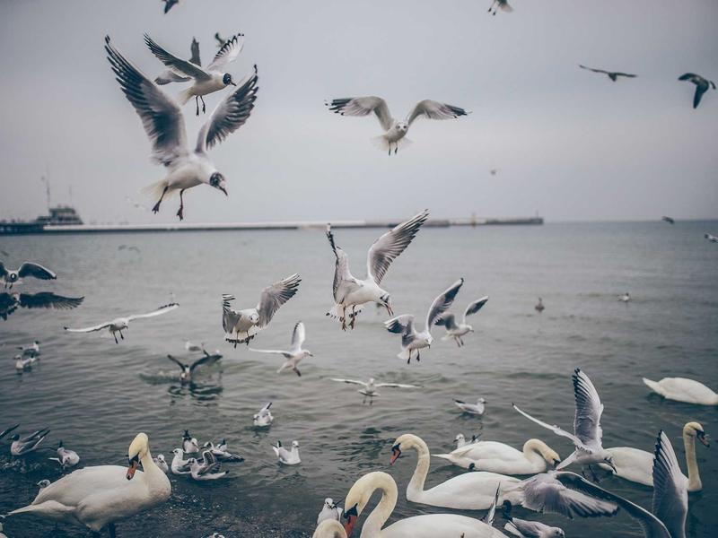 feedback screenshot 4