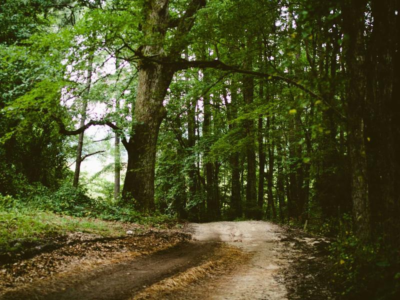 sudoku medium screenshot 5