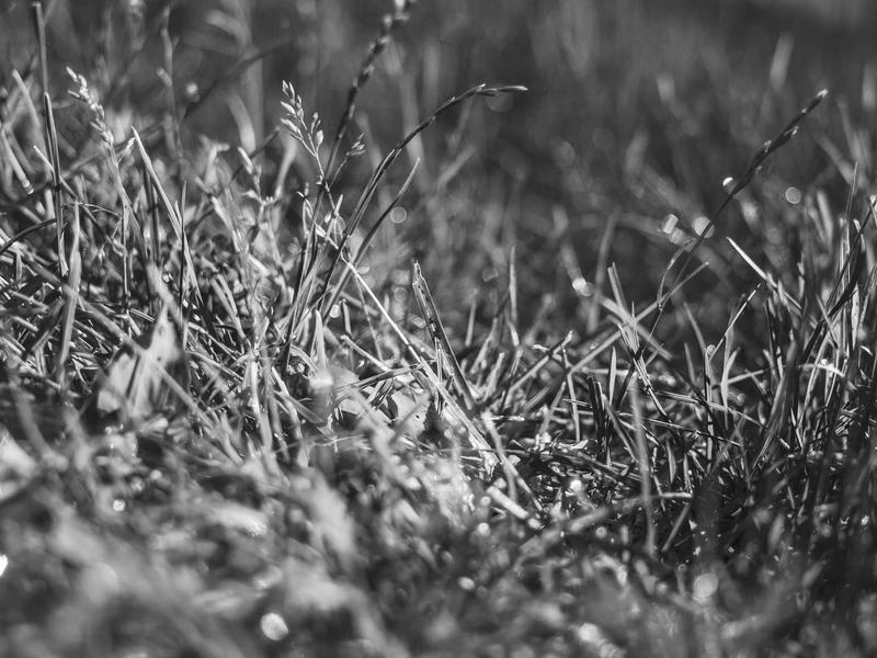 feedback screenshot 3