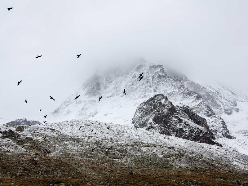 sudoku medium screenshot 1